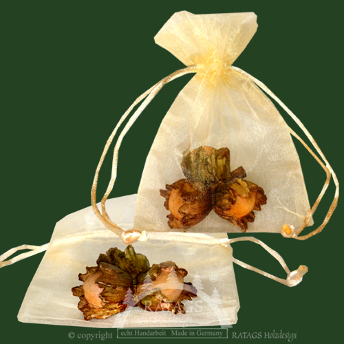 3 Hazelnuts for Cinderella, colour