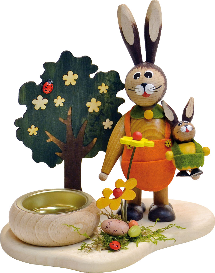 Mother rabbit on a spring walk