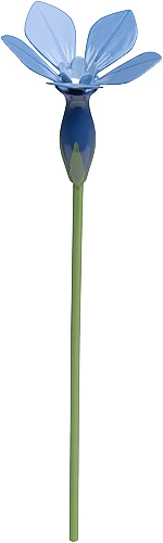 Frühlingsenzian für Blumenkind 5248/30