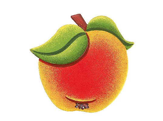 Magnetpin Apfel