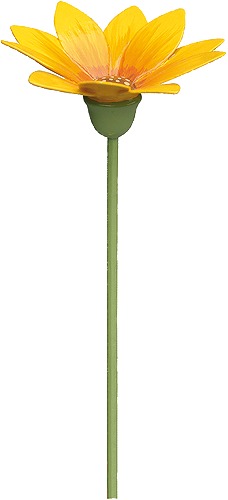 Mittagsgold für Blumenkind 5248/26