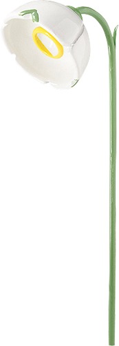 Märzenbecher für Blumenkind 5248/4