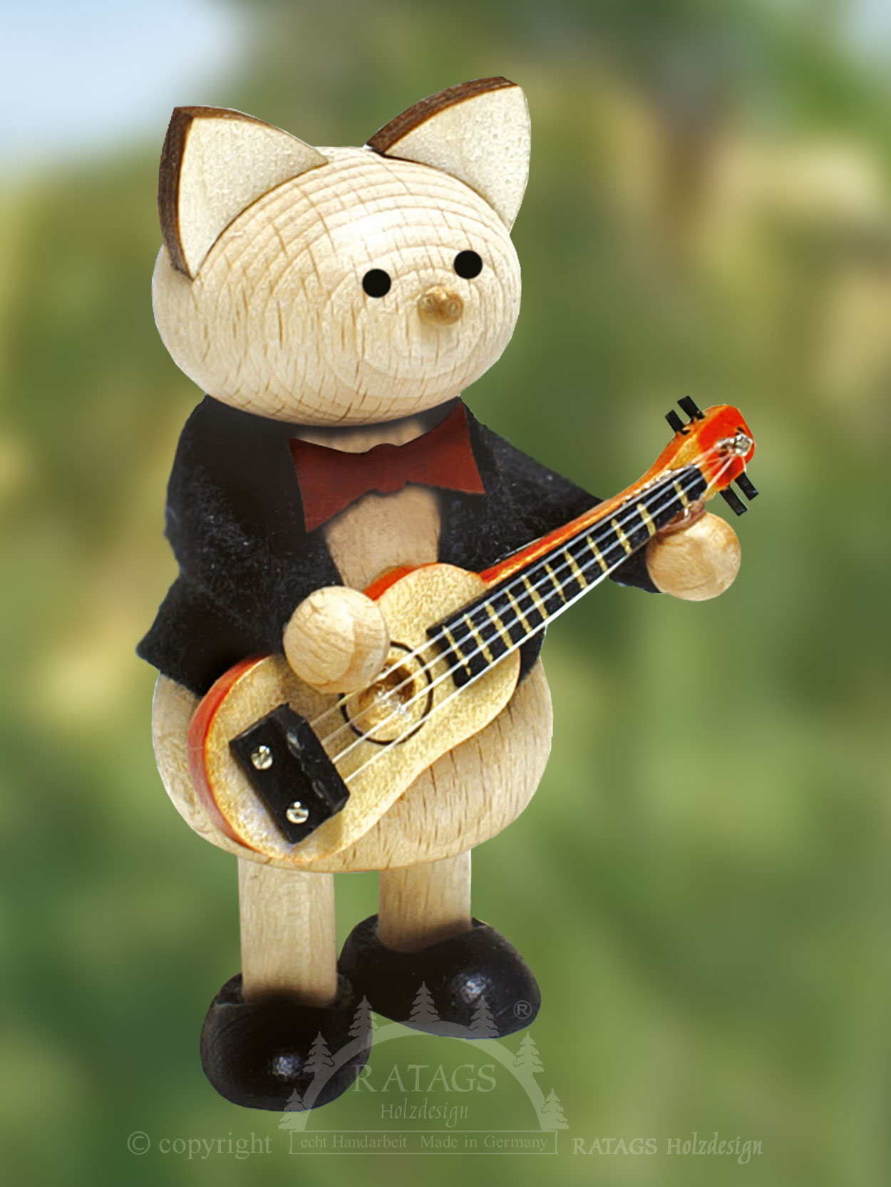 Katze mit Gitarre Katze mit Gitarre