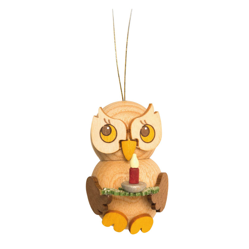 Owl child with candle on a branch