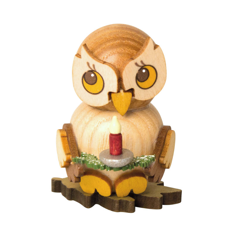 Owl child with candle on a branch