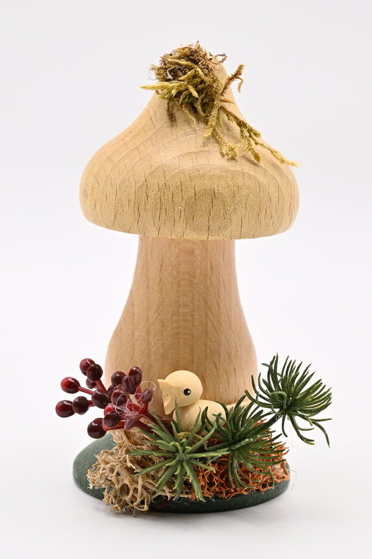 Incense mushroom, orange veil mushroom, light cap, bird
