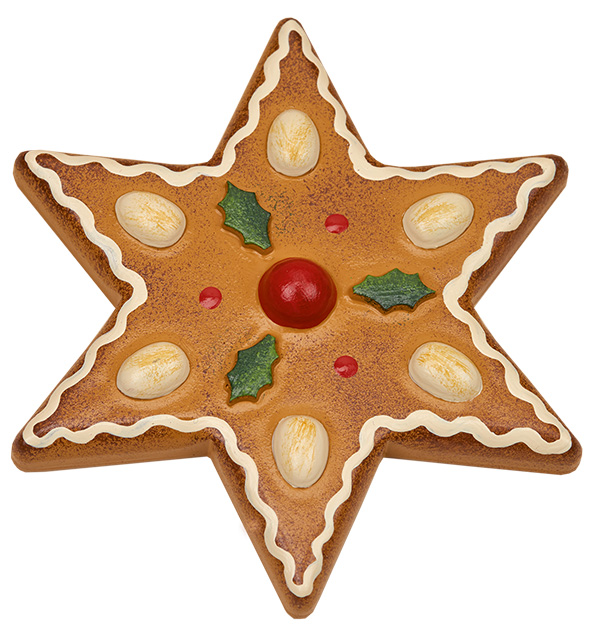 Magnetic pin almond star
