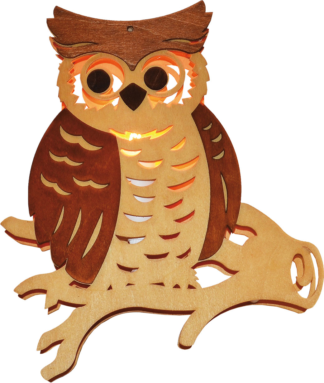 Window picture, illuminated, owl