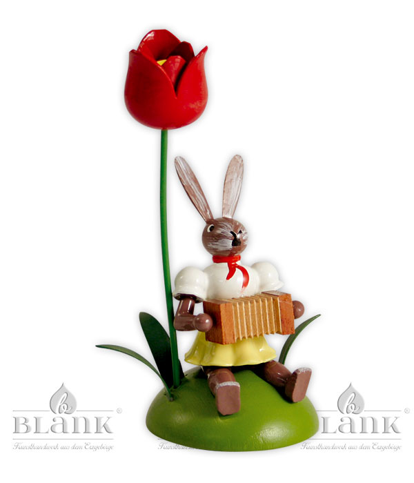 Tulpe/Harmonika