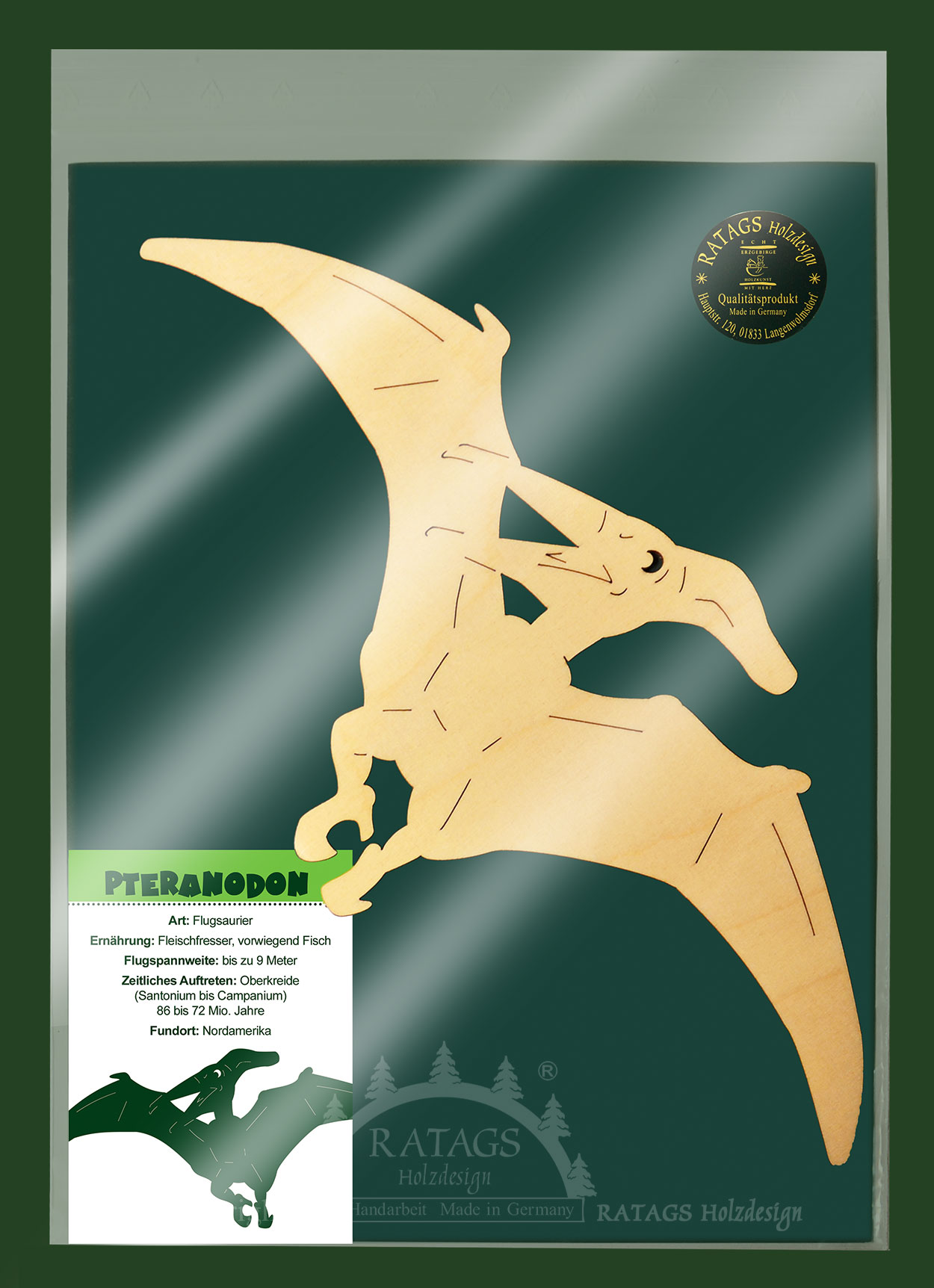 Décoration de fenêtre, dinosaure, ptéranodon