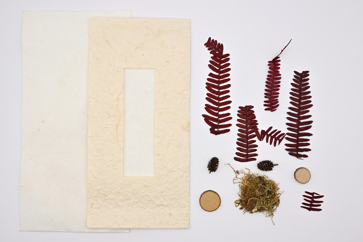 Map, natural, with accessories