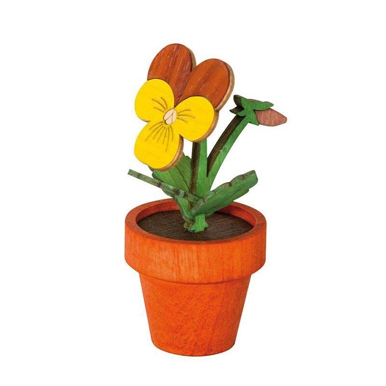 Large colourful pansies, approx. 8 cm