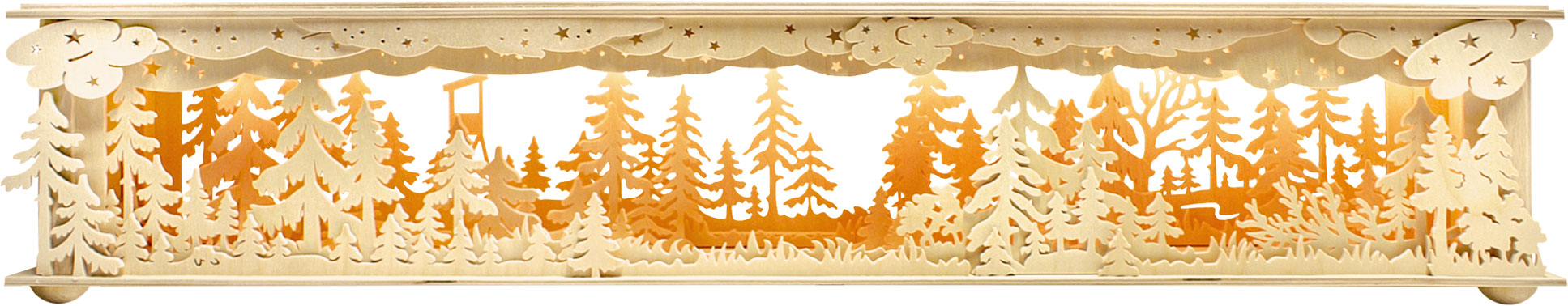 Large room light, forest, raised hide