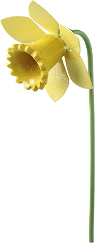 Narzisse für Blumenkind 5248/13