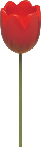 Winterling für Blumenkind 5248/22