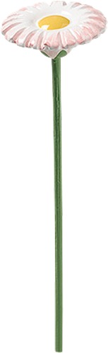 Gänseblümchen für Blumenkind 5248/10